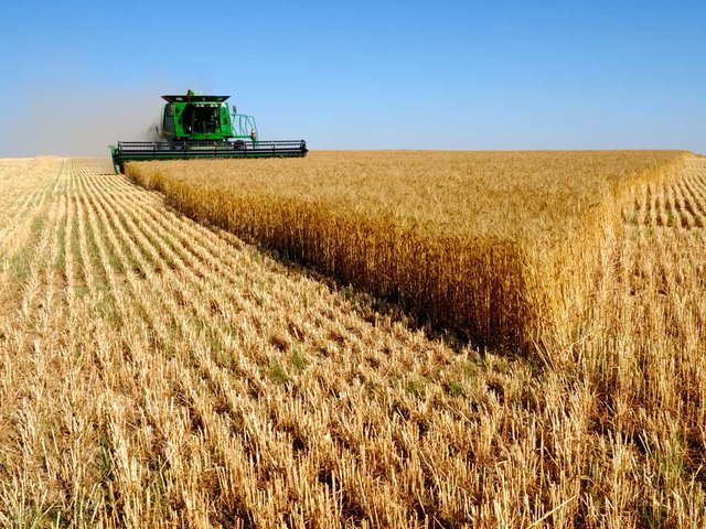 افزایش ۲درصدی تورم تولیدکننده کشاورزی