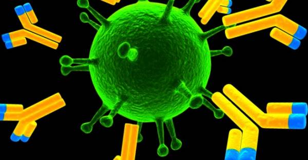 گامی جدید در درمان کرونا، شناسایی آنتی بادی مقاوم در مقابل انواع کرونا