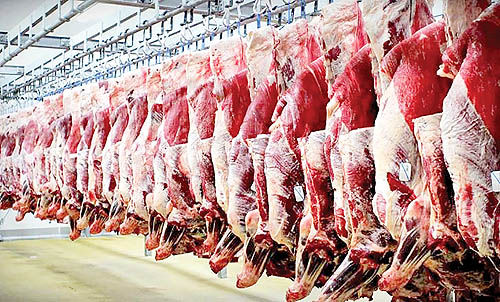 اختلاف چشمگیر قیمت گوشت از دامداری تا فروشگاه