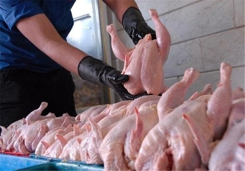 افزایش ۲۰۰ تومانی قیمت مرغ