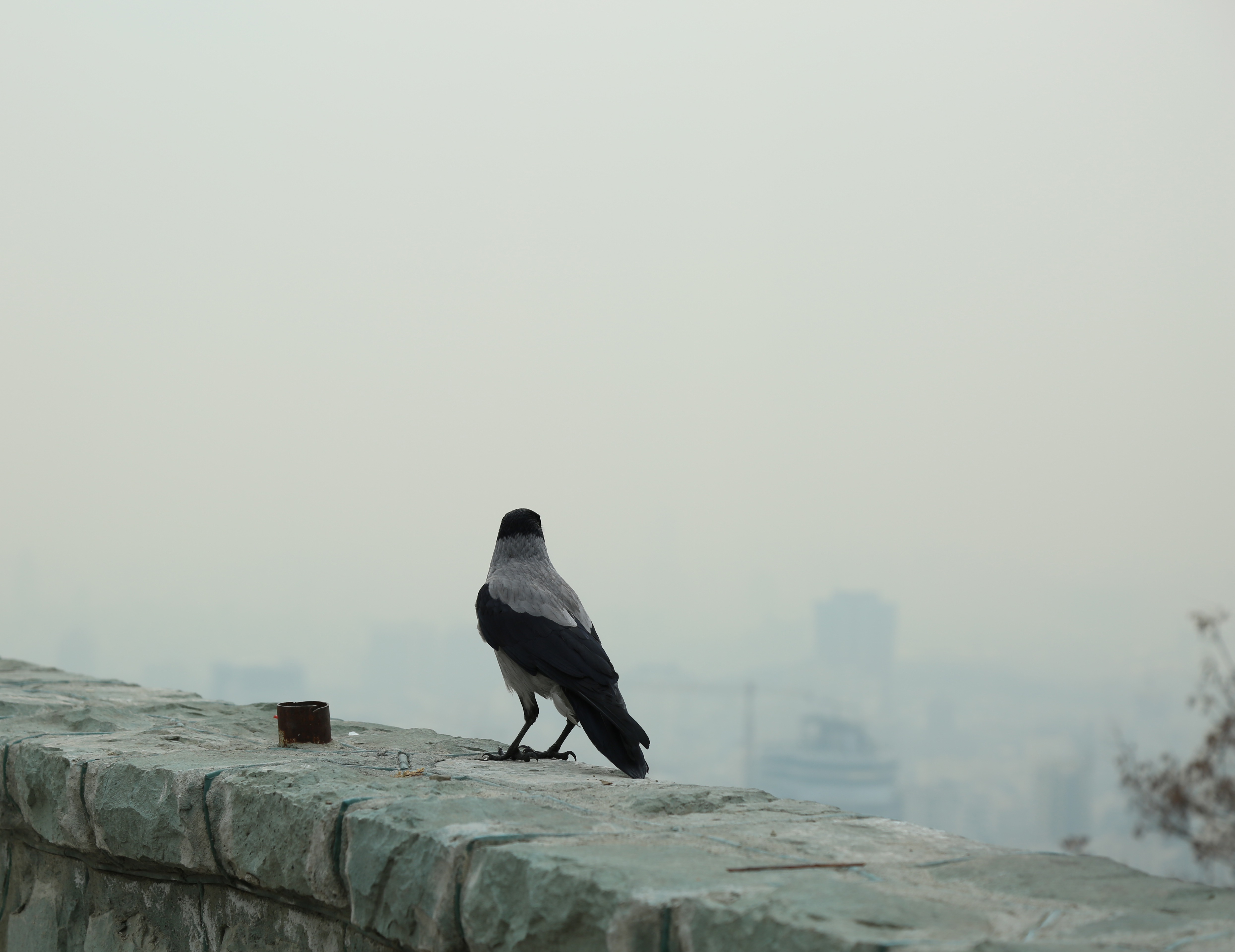 شاخص آلودگی هوا در کدام شهر به ۵۰۰رسید؟