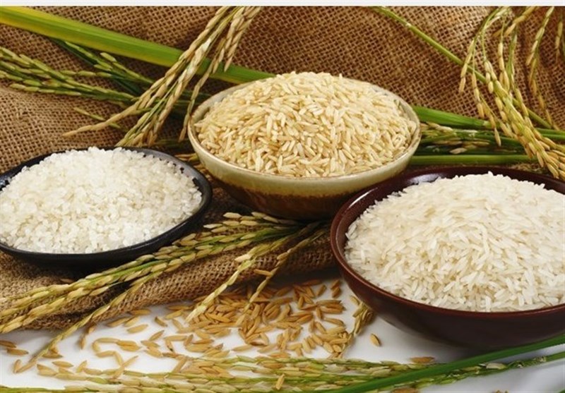 مجلس با حذف ارز دولتی واردات برنج مخالف است