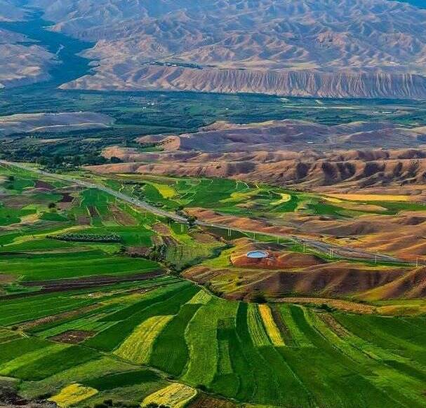  نمایی زیبا از مزارع سرسبز زنجان +عکس