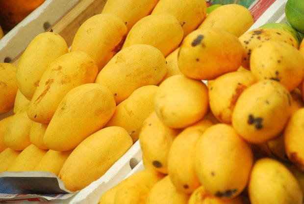 کاهش قیمت انبه، موز و لیموترش در میادین میوه و تره‌بار