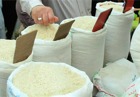 افزایش قیمتی در برنج ایرانی و وارداتی نداشتیم