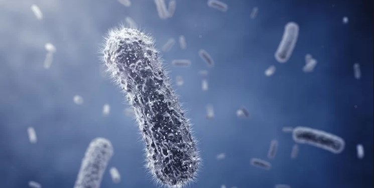 باکتری عجیب، عامل مرگ بیش از 33 هزار اروپایی