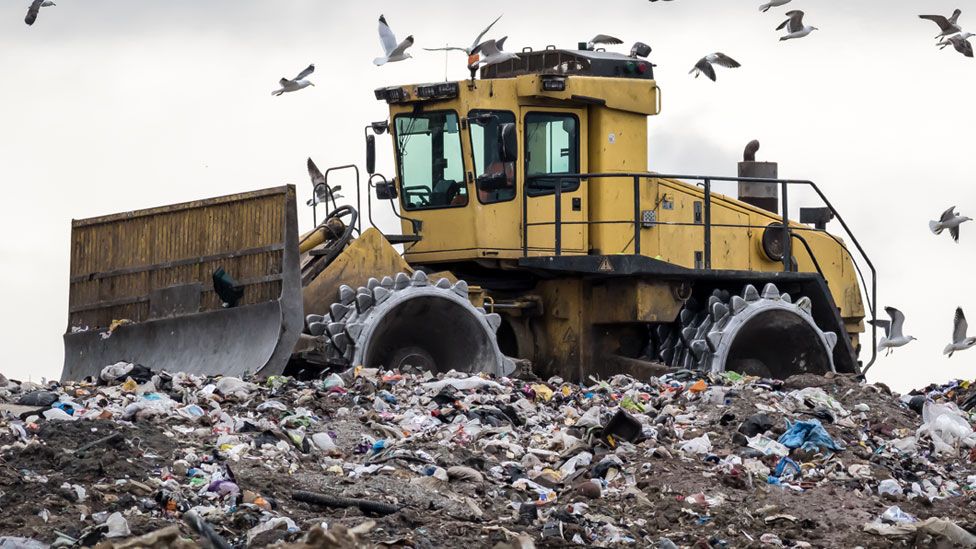 ۱۷درصد مواد غذایی، مستقیم به سطل آشغال می‌رود