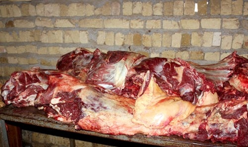 توزیع گوشت الاغ در کشور؟