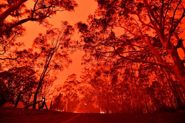آتش‌سوزی گسترده در جنگل‌های خاییز کهگیلویه +فیلم