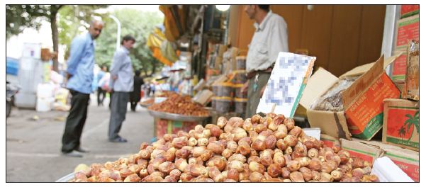تنظیم بازار خرمای ‌ماه مبارک رمضان کلید خورد