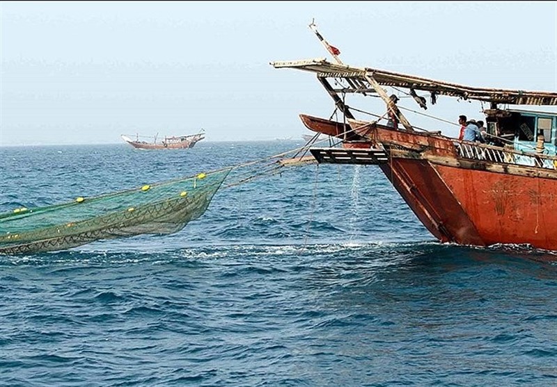 فانوس ماهی‌های خلیج فارس در تور صیادان چینی