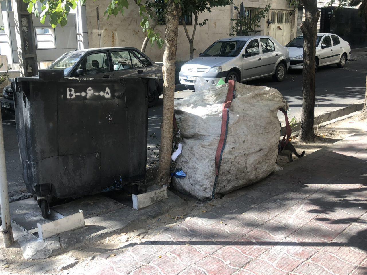 در سطل زباله‌های تهران چه خبر است؟