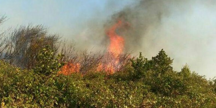 ورود قوه قضائیه به آتش‌سوزی جنگل‌های ارسباران