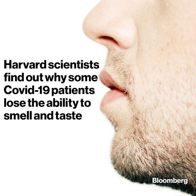 کشف علت از کار افتادن بویایی و چشایی برخی مبتلایان به کووید-19