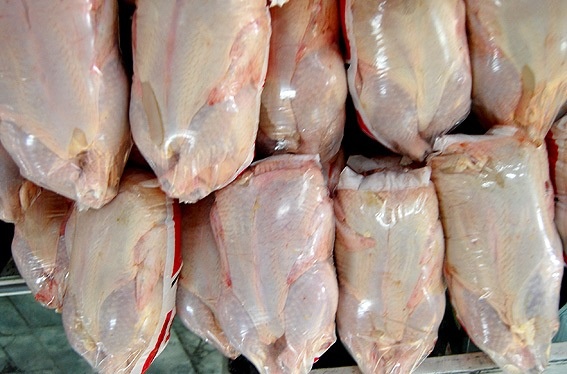 ادامه روند افزایشی نرخ مرغ در بازار