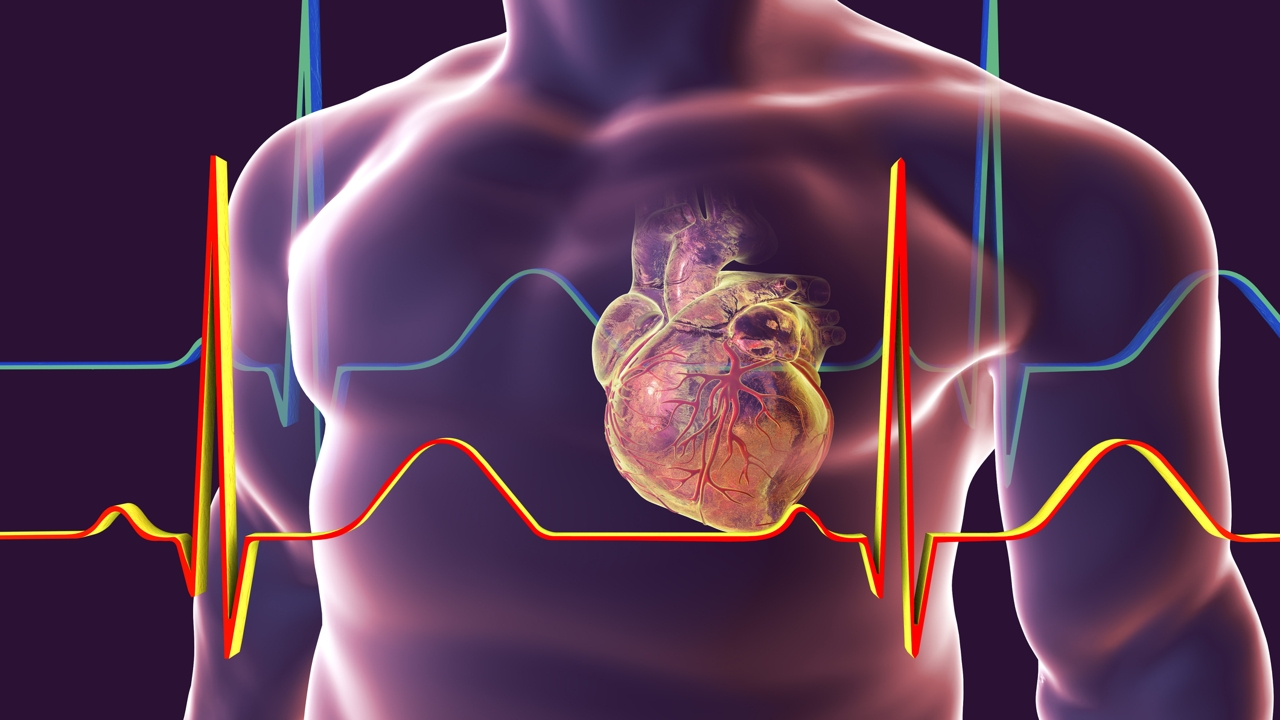 اصلاح ژن نرخ مرگ ناشی از اختلالات قلبی را کاهش می‌دهد