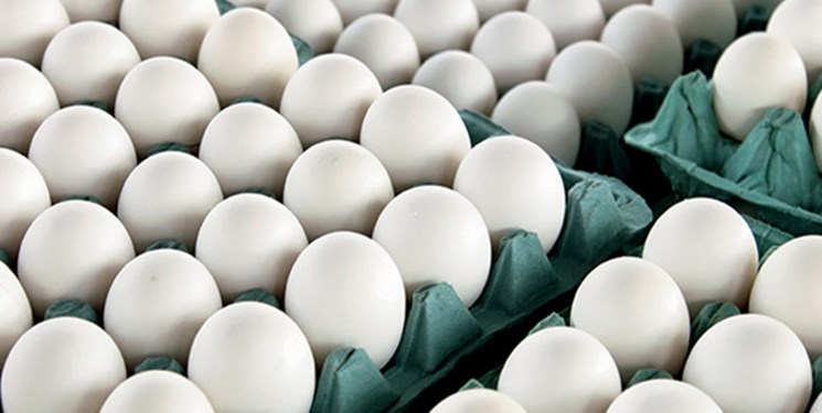 کاهش ۱۰هزارتومانی قیمت تخم مرغ