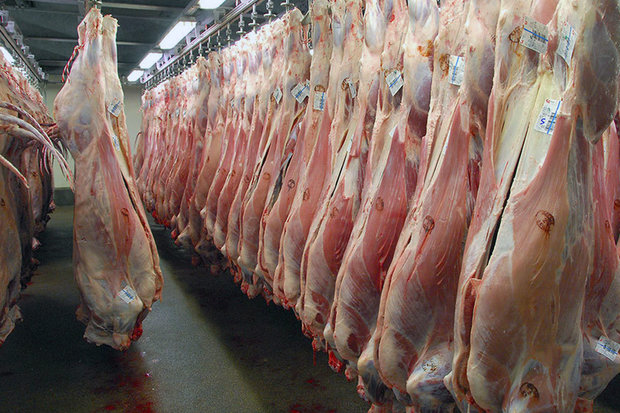 بازار گوشت تا پایان ماه رمضان متعادل می‌شود