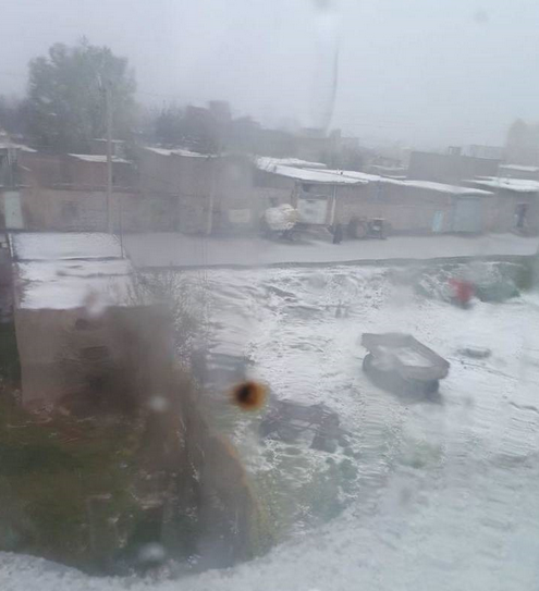 بارش برف بهاری در اردبیل +عکس
