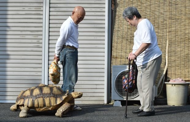 عجیب ترین حیوان خانگی توکیو در دست یک پیرمرد + عکس
