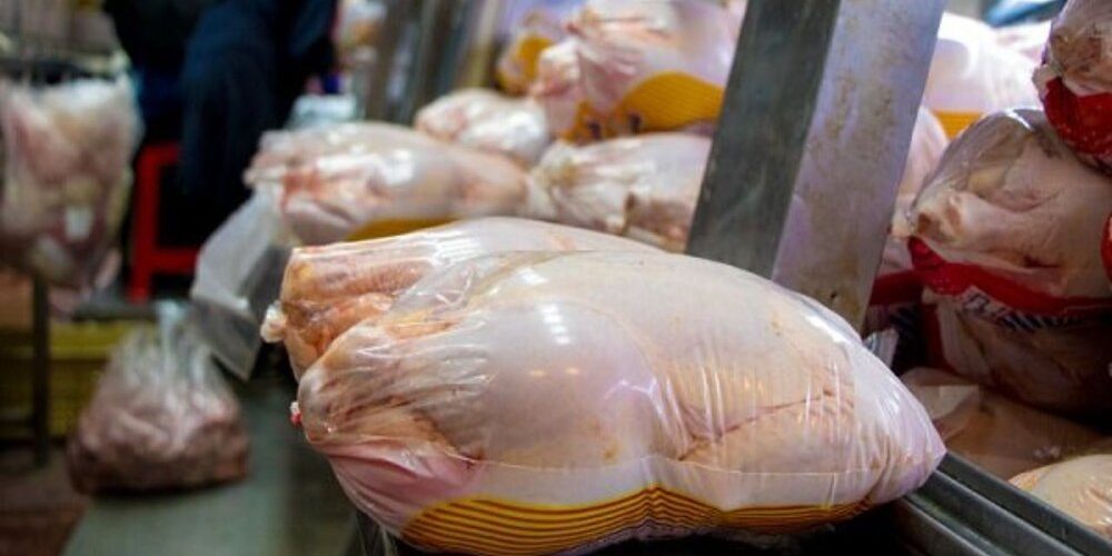 ۱۶ هزار تومان قیمت تمام شده هر کیلوگرم مرغ وارداتی