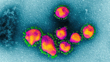 پیش‌بینی سرنوشت کروناویروس در زمستان آینده
