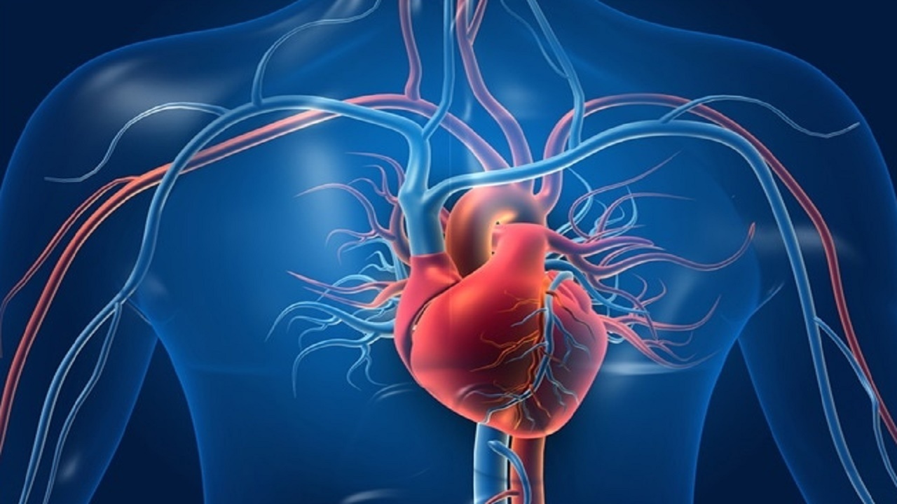 تولید سنسور‌های الکتریکی برای تشخیص آریتمی قلب