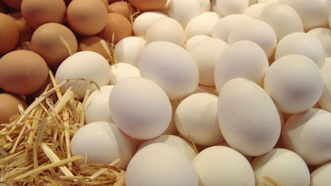 عوارض صادراتی تخم مرغ کاهش یافت