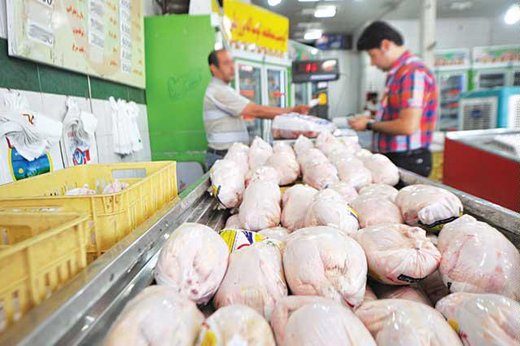 قیمت مرغ در بازار واقعی نیست