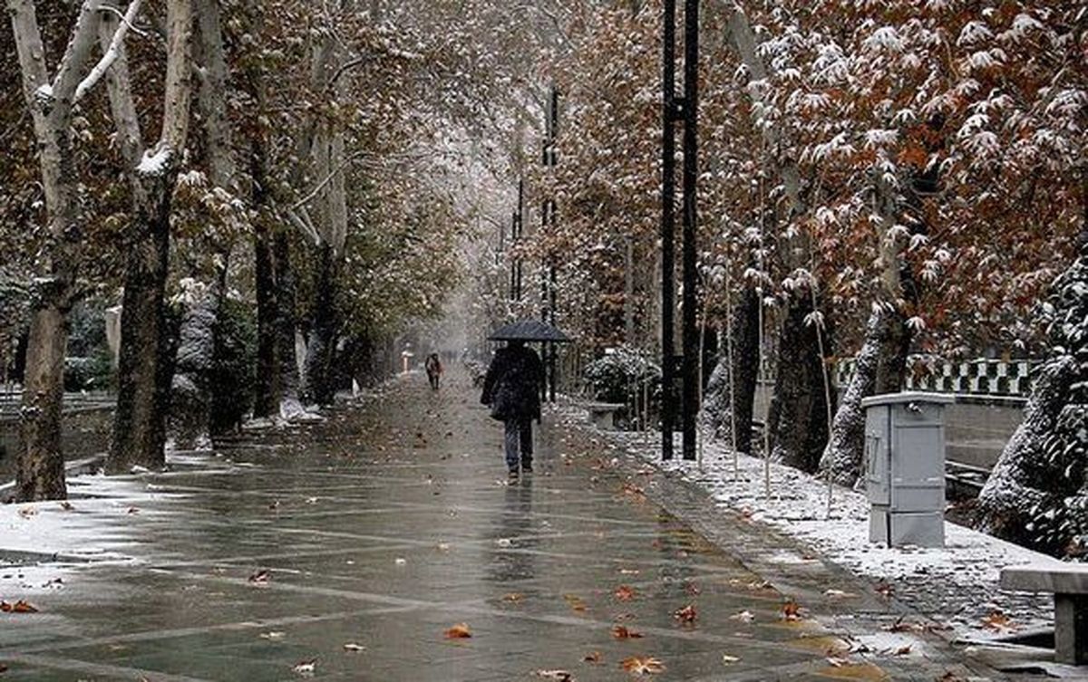 بارش باران در تهران آغاز شد + فیلم