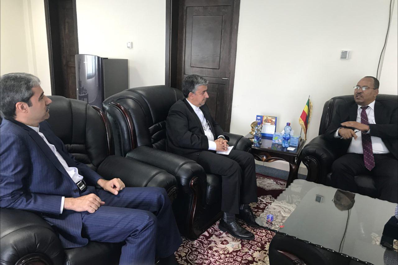 درخواست وزیر نفت اتیوپی از شرکت‌های ایرانی