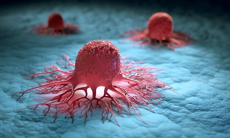 سلول های سرطانی چگونه شکل می گیرد؟ / چه کسانی در معرض خطر هستند؟ 