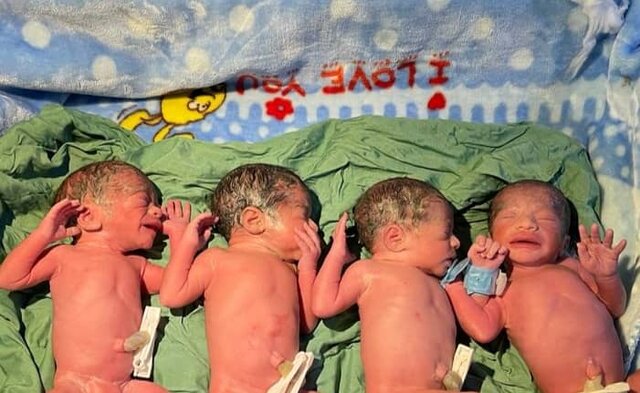 تصویر ۴ قلوهای تازه متولد شده مادر جوان گلستانی