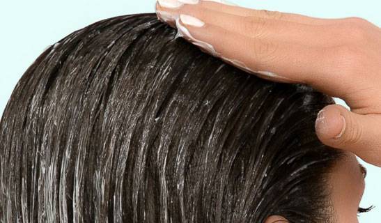 درمان سریع و قطعی شپش موی سر +عکس