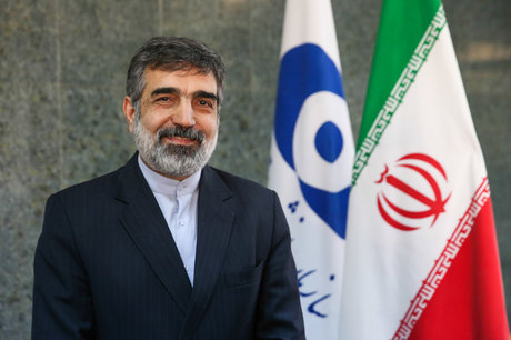 سخنگوی سازمان انرژی اتمی:به زودی ۱۳۰تن اورانیوم خریداری شده وارد ایران می‌شود