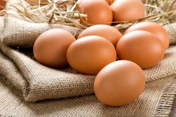خرابکاری در صادرات تخم‌ مرغ مشکل‌ساز شد