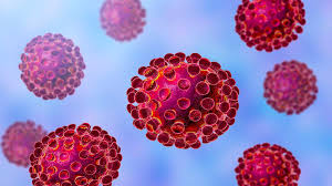 کروناویروس سلول‌های روده را آلوده می‌کند