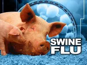 شیوع آنفلوانزای خوکی در گرجستان