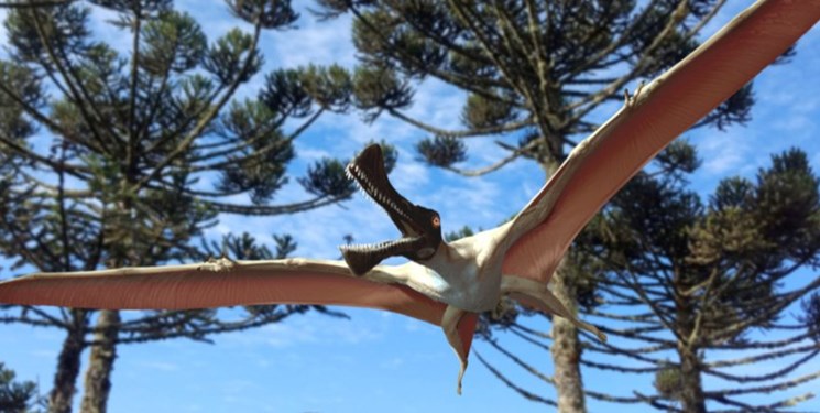 کشف فسیل خزنده پرنده ماقبل تاریخ در استرالیا +عکس