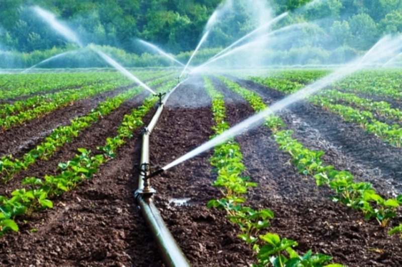 اختلاف نظرها بر سر مقدار آب مصرفی در کشاورزی