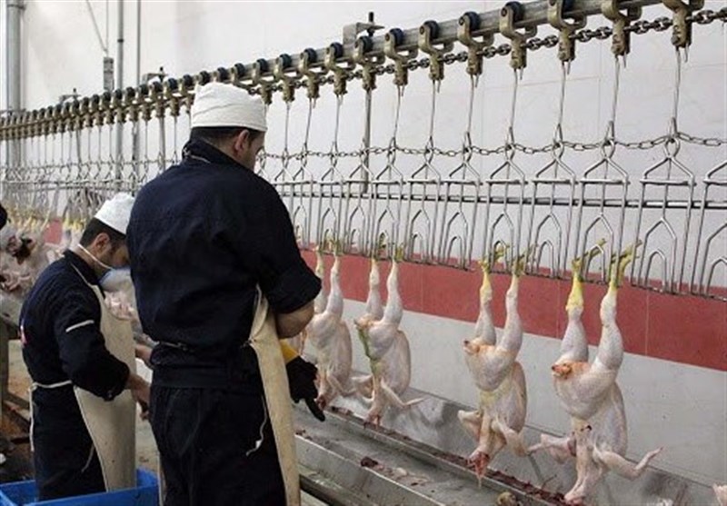 ایرانی‌ها ماهانه چند کیلوگرم مرغ مصرف می‌کنند؟