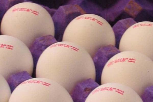 درج غیرواقعی تاریخ تولید روی تخم‌مرغ