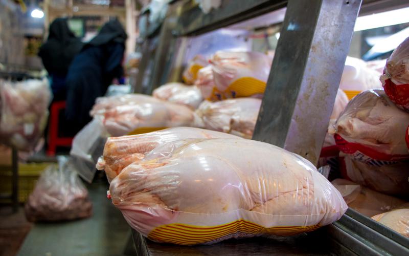 قیمت هر کیلو مرغ به ۲۷۵۰۰ تومان کاهش یافت