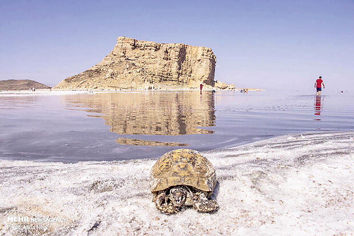پیشرفت ۸۸ درصدی طرح انتقال آب به دریاچه ارومیه