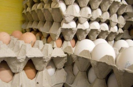 واردات ۲۰ هزار تن تخم مرغ برای تنظیم بازار