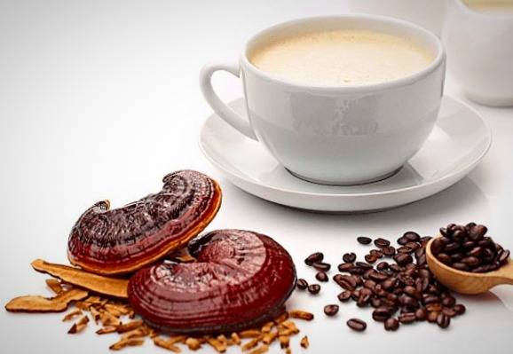 قهوه گانودرما برای چی خوبه؟ +عکس - اقتصاد آنلاین