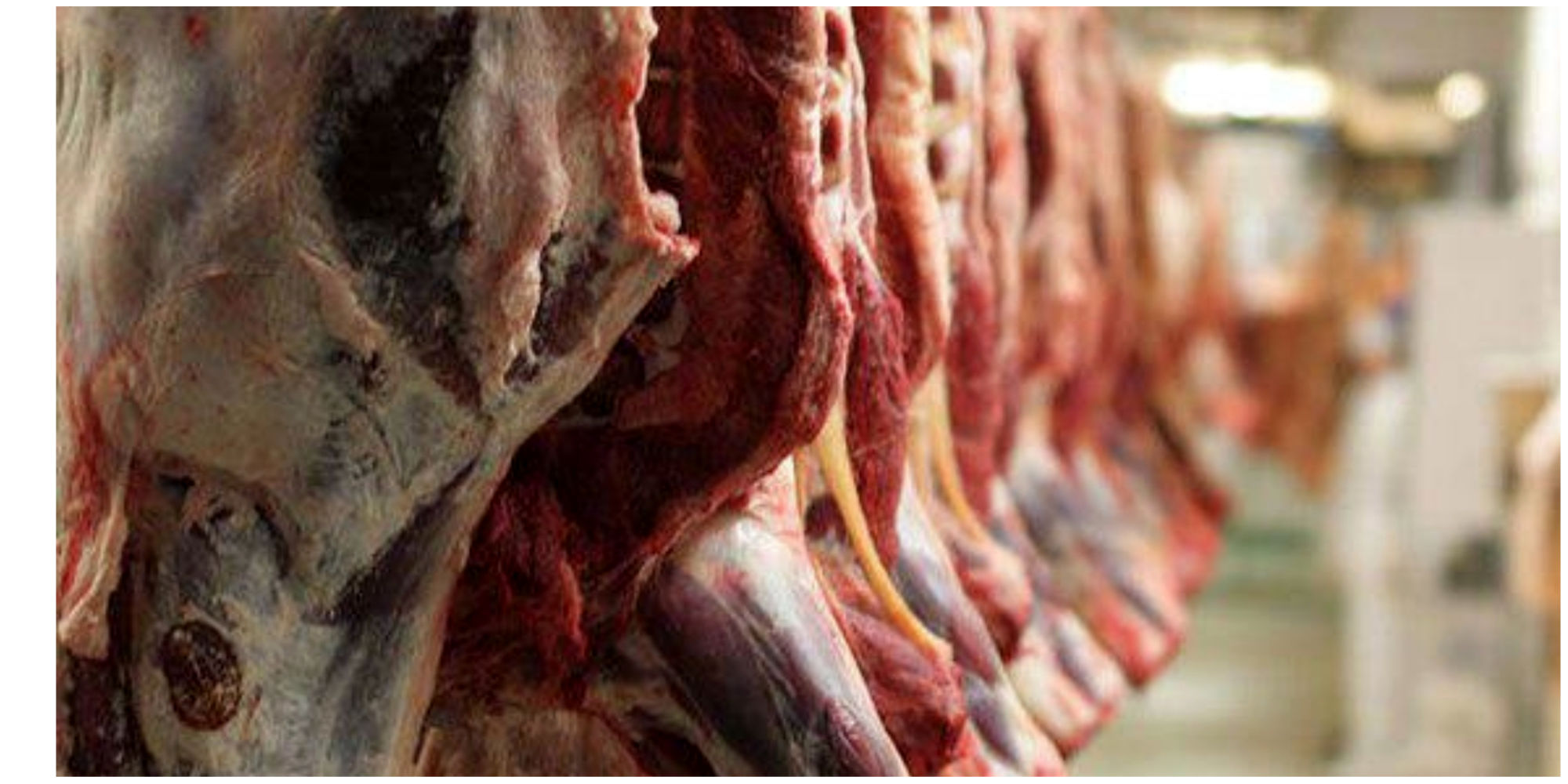 قیمت روز گوشت قرمز /  خورشتی گوسفندی چند؟ + جدول قیمت
