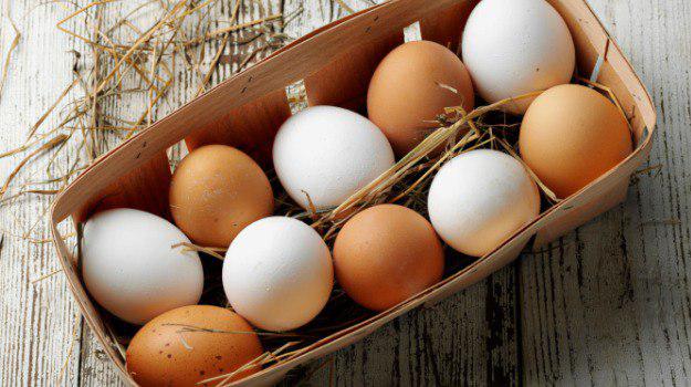 تخم‌مرغ در روزهای پایانی سال ارزان می‌شود