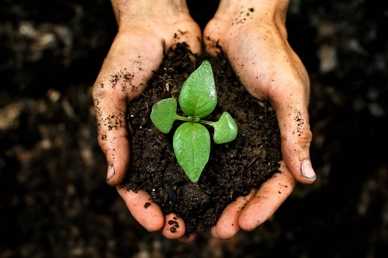 کاهش 50درصدی تولید با ورود سازمان‌های غیرتخصصی به حوزه کود و سم/ لزوم ارجاع دوباره ماده9 لایحه حفاظت از خاک به کمیسیون کشاورزی