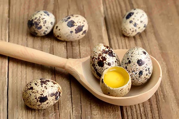 چرا مصرف تخم بلدرچین توصیه می شود؟
